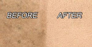 Before and After Carpet Cleaning - Moorestown, NJ